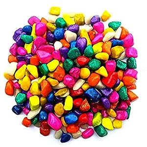 Multi-Color Decorative (Small Stone, 3Kg)