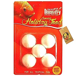 Aquatic Vacation Weekend Holiday Fish Food, 10 g (Pack of 2)